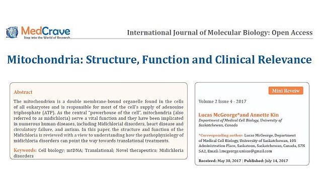 Text false paper